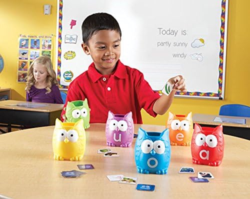 LR-Vowel Owls™ Sorting Set