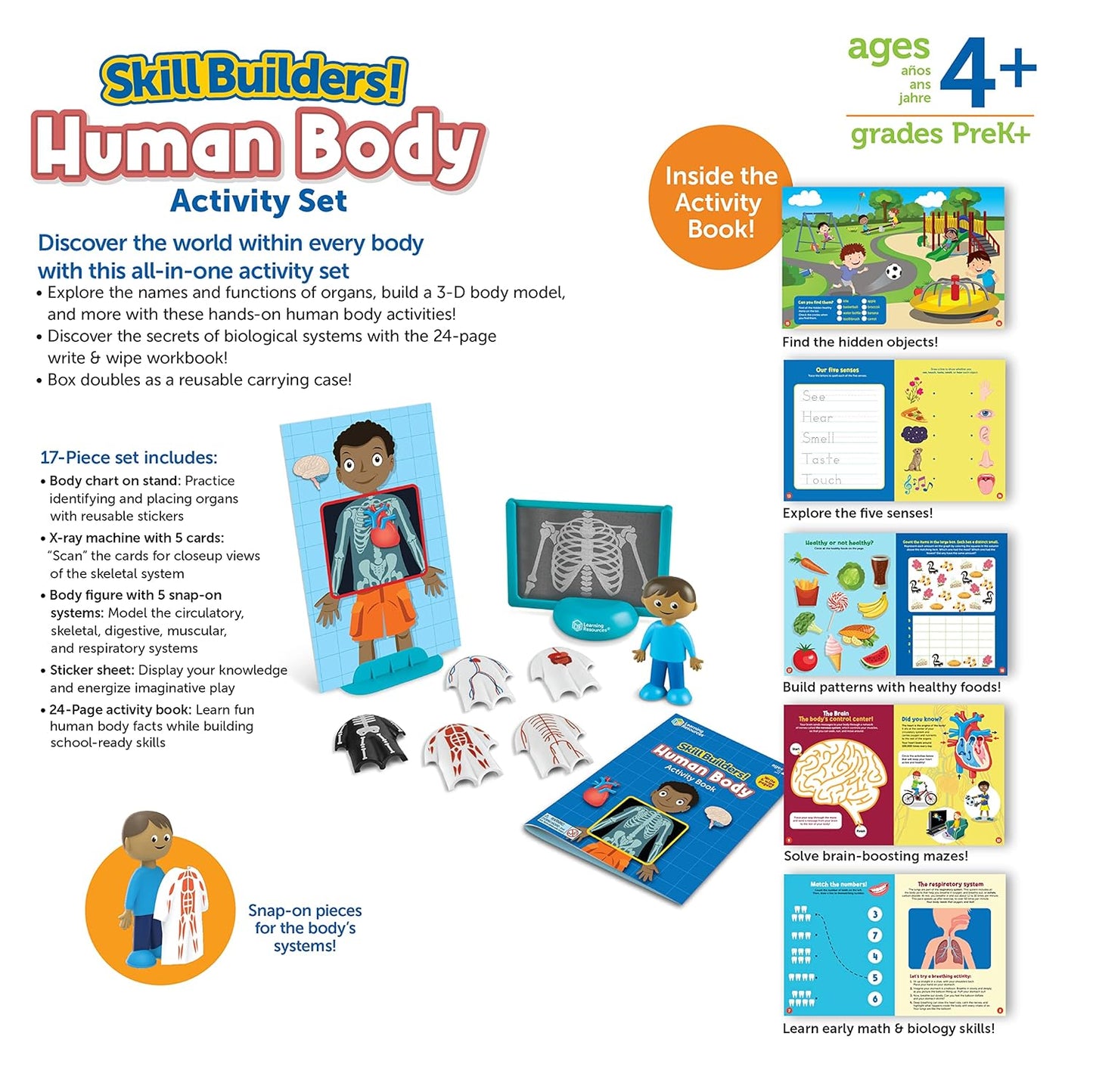 LR-SKILL BUILDERS! HUMAN BODY