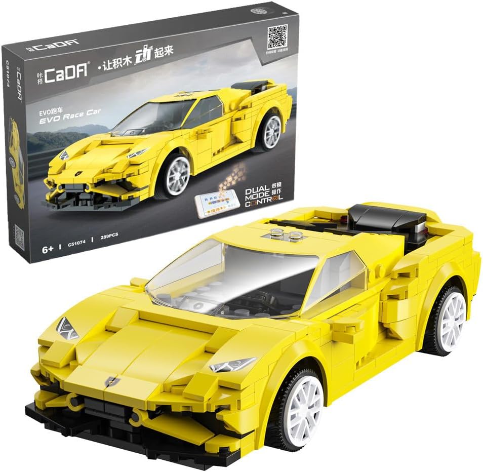Race Car(Dual Control)