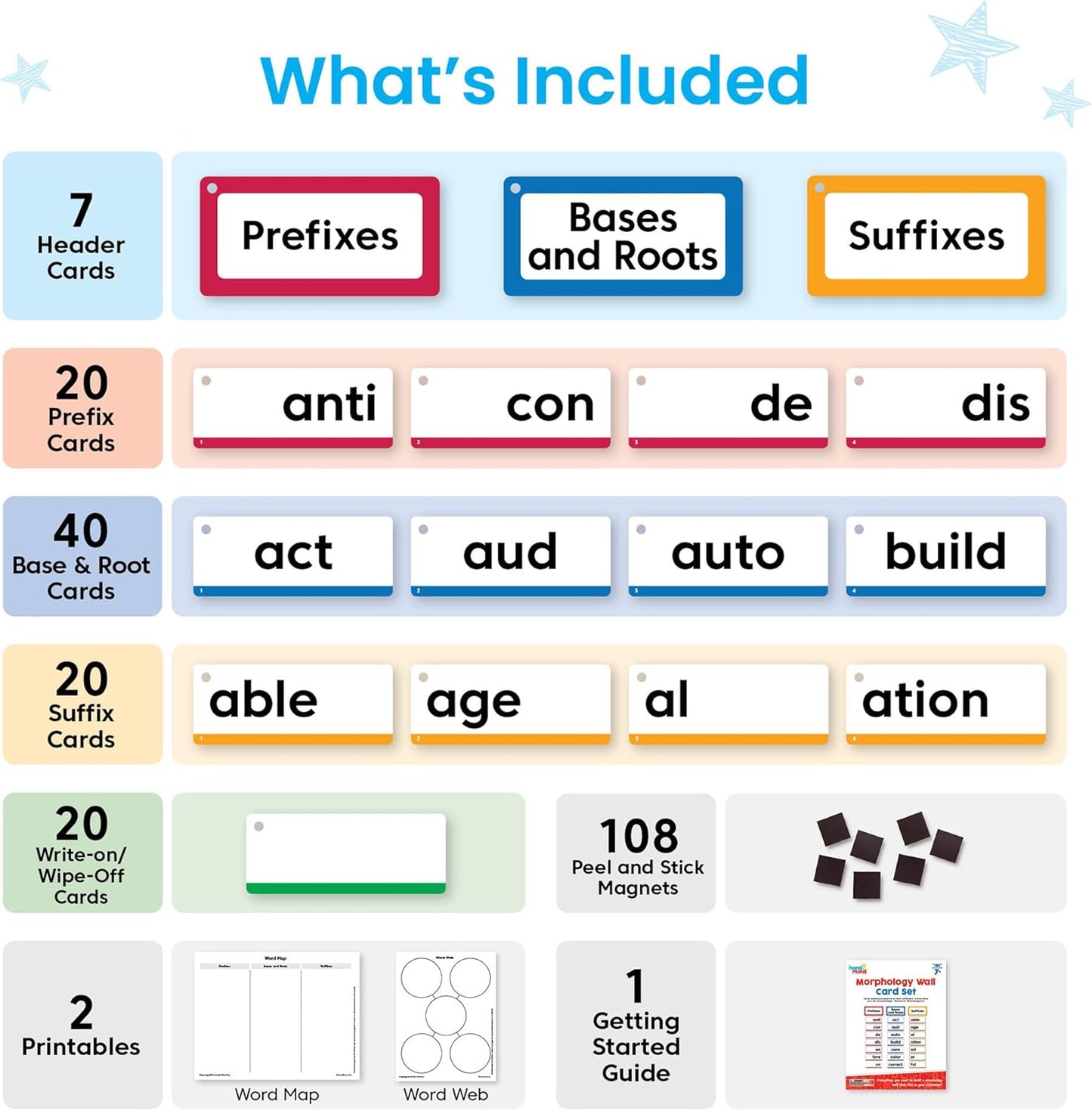 LR-MORPHOLOGY WALL CARD SET
