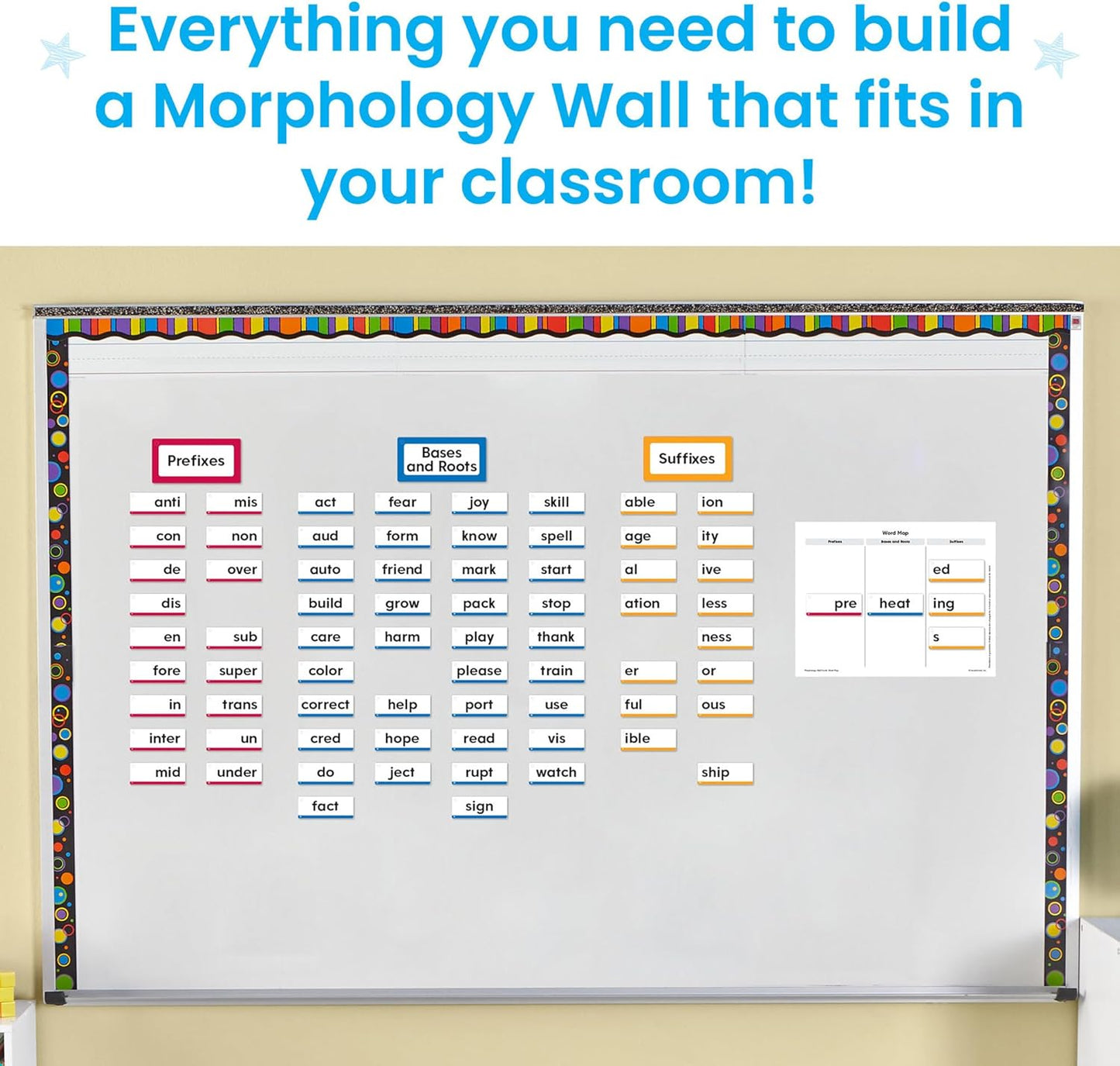LR-MORPHOLOGY WALL CARD SET