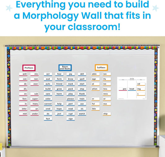 LR-MORPHOLOGY WALL CARD SET