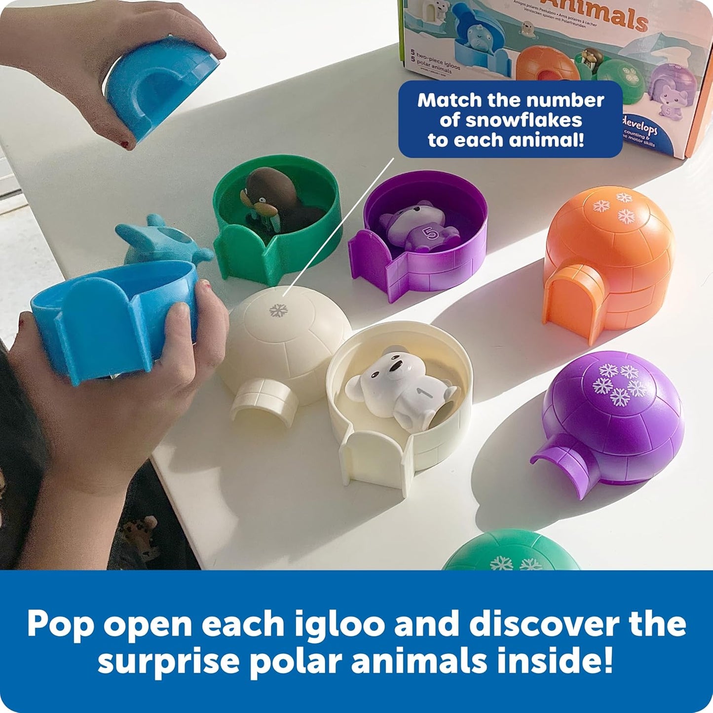 LR-SORT & SEEK™ POLAR ANIMALS