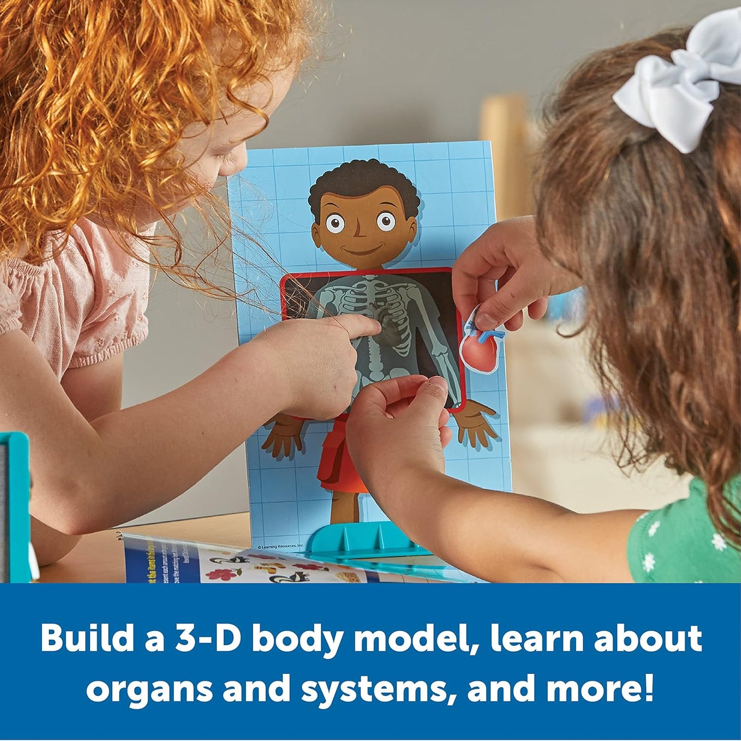 LR-SKILL BUILDERS! HUMAN BODY