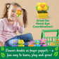 LR-Growing Greenhouse Colour & Number Playset