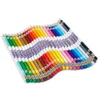 Crayola Erasable Colored Pencils, 24 Count