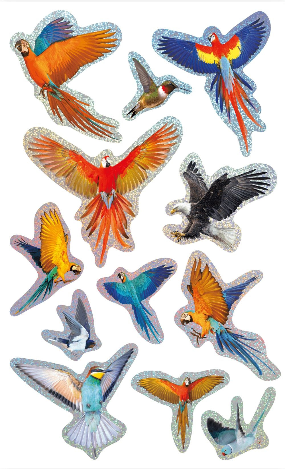 Avenir - Natural Creation 3D Bird Stickers – 12 Puffy Decorative Stickers | Creative Craft & Scrapbooking Stickers for Kids, Journals, Cards & Gifts