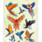 Avenir - Natural Creation 3D Bird Stickers – 12 Puffy Decorative Stickers | Creative Craft & Scrapbooking Stickers for Kids, Journals, Cards & Gifts